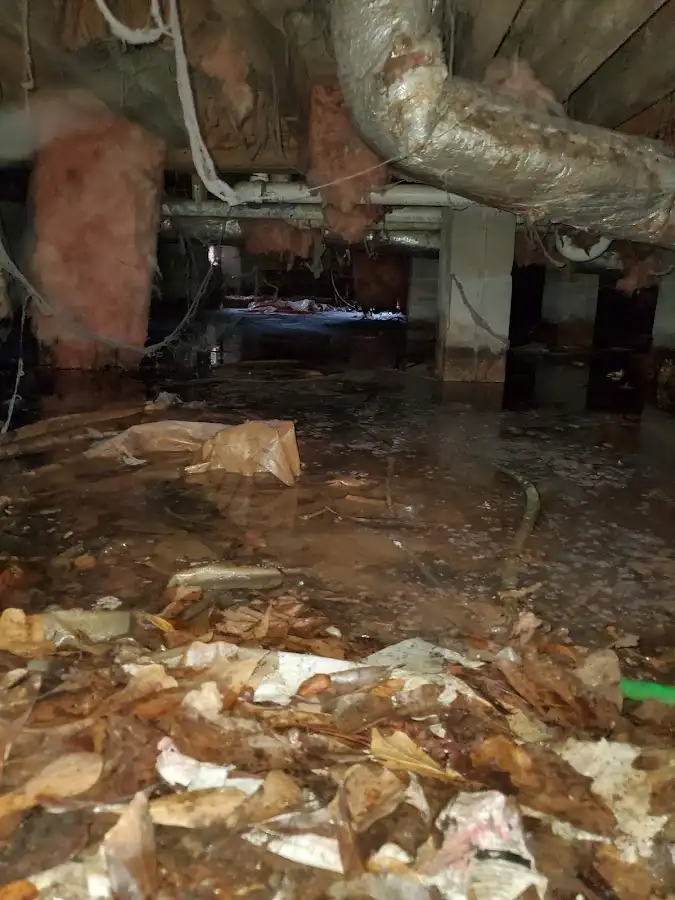 Crawl space flood assessment for Leak Detection & Repair in Camas