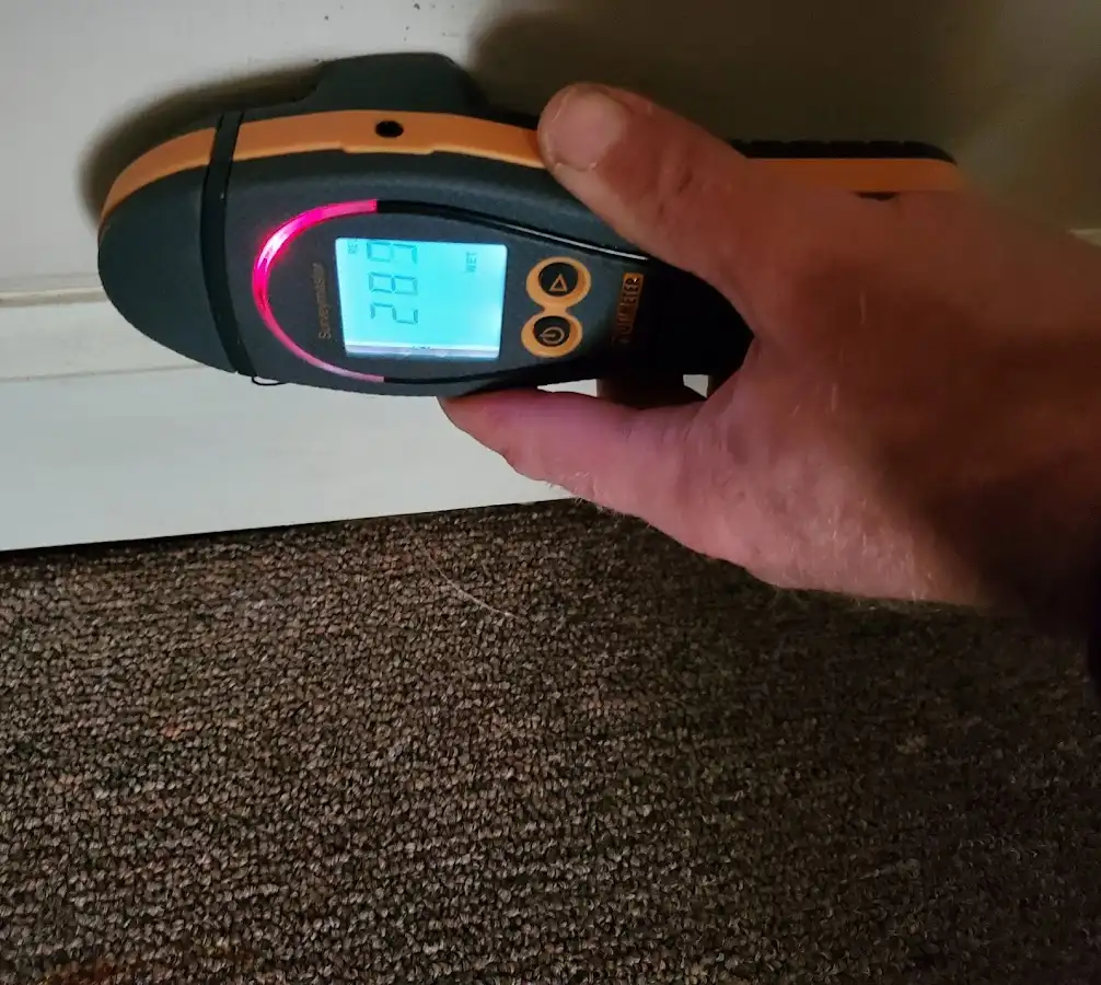 Moisture detection at baseboard during Sewage Cleanup & Sanitation in Camas